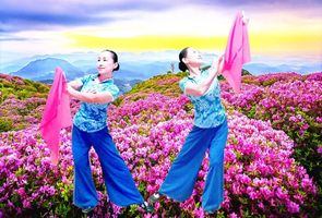 【舞友分享】家族精英队山西运城娜迪亚广场舞《映山红》个人版