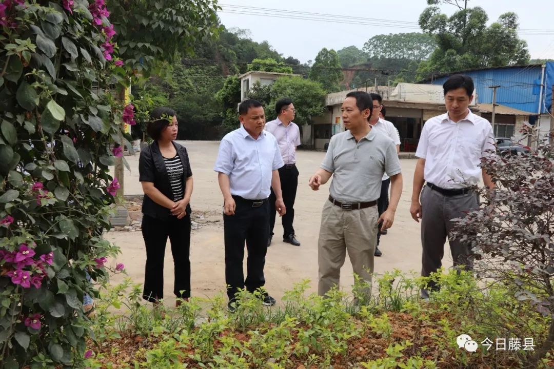 真抓实干提升群众获得感丨记藤县县委书记黄东明_发展