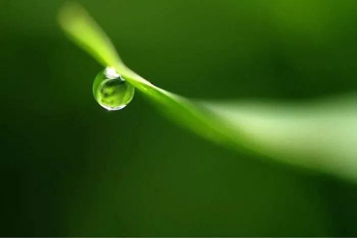 唯美钢琴曲《水》静静聆听,水的清澈_取舍