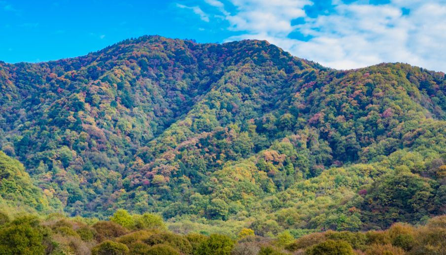 星推荐 | 荆楚大地,有你不知道的旷世之美