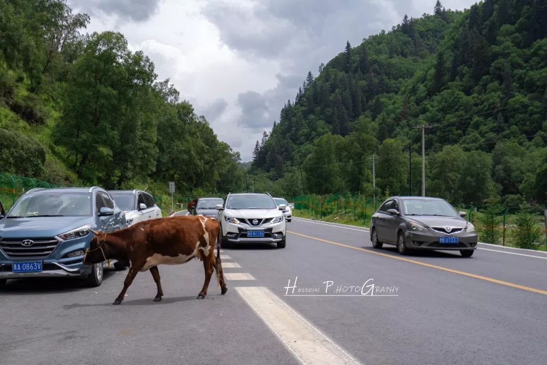 一生一定要去一次青海最美公路