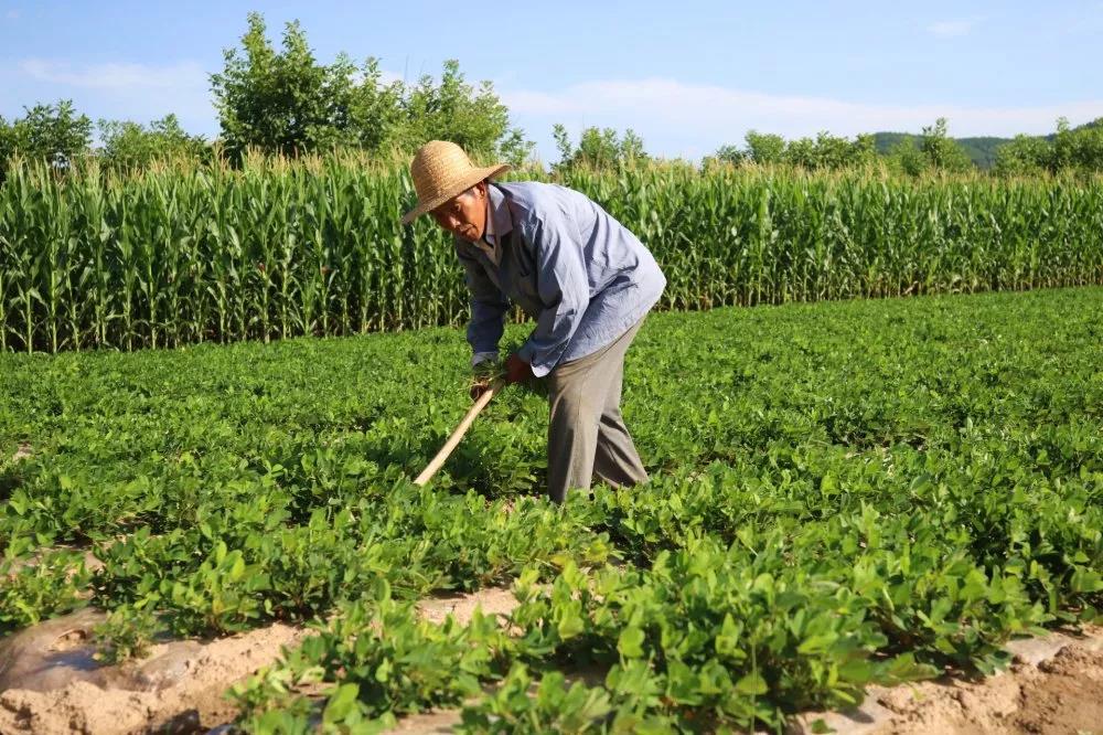 富县:让文明新风"飞入寻常百姓家"