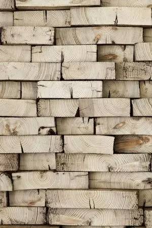 300_450竖版 竖屏