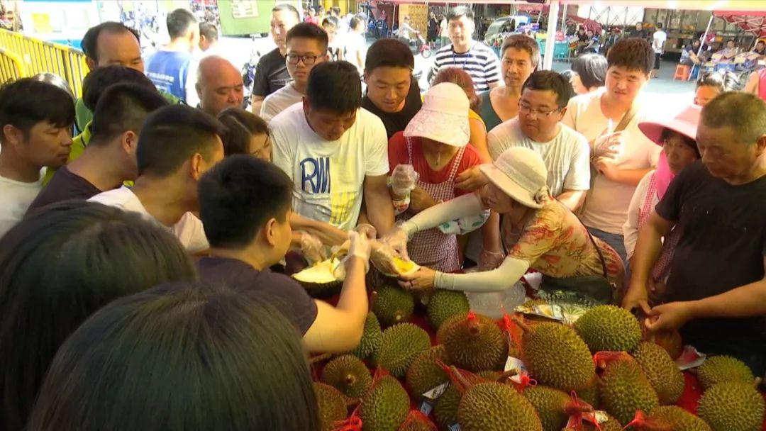 关注猫山王榴莲为何能卖几百元一个看完果肉就全明白了原来
