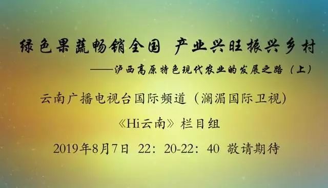 【壯麗70年·奮鬥新時代】原來瀘西的綠色果蔬這麼厲害,看看雲南電視