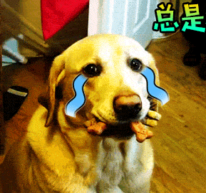 289_271gif 动态图 动图