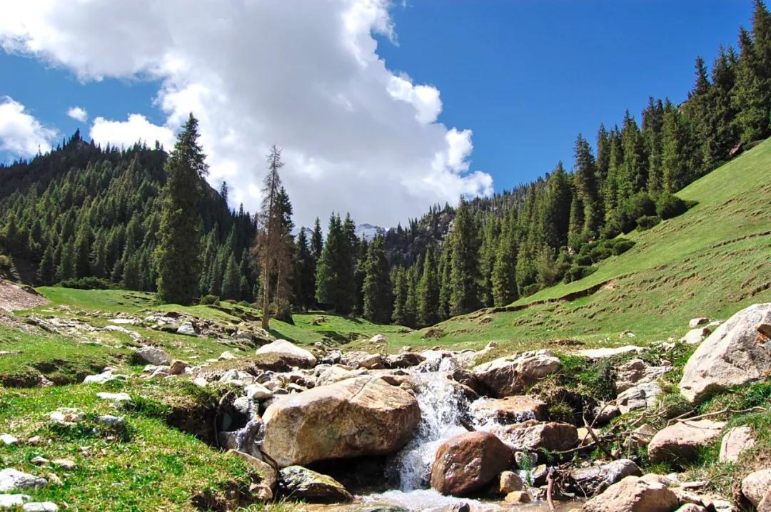 这座中国最狂野公路穿过的城市,竟藏了这么多鲜为人知的美景!_叶城