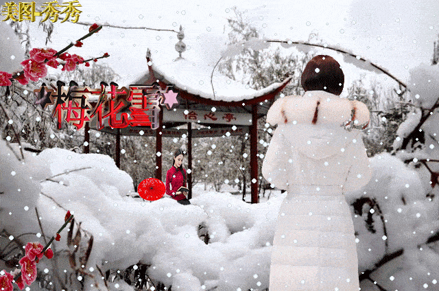 海上风微刊夜听央视散文踏雪寻梅作者胥智慧编配梦若心莲诵读w木子阳