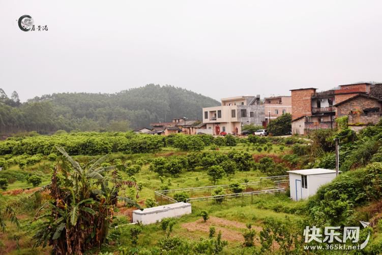 这条小村只有100多户几百人口却是贵港不多见的绿色村屯是你的家乡吗