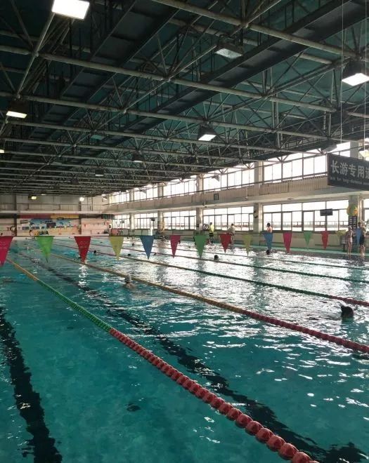 显老旧,但水质还是过关的这也是家老牌国营的游泳馆了东单游泳馆收费