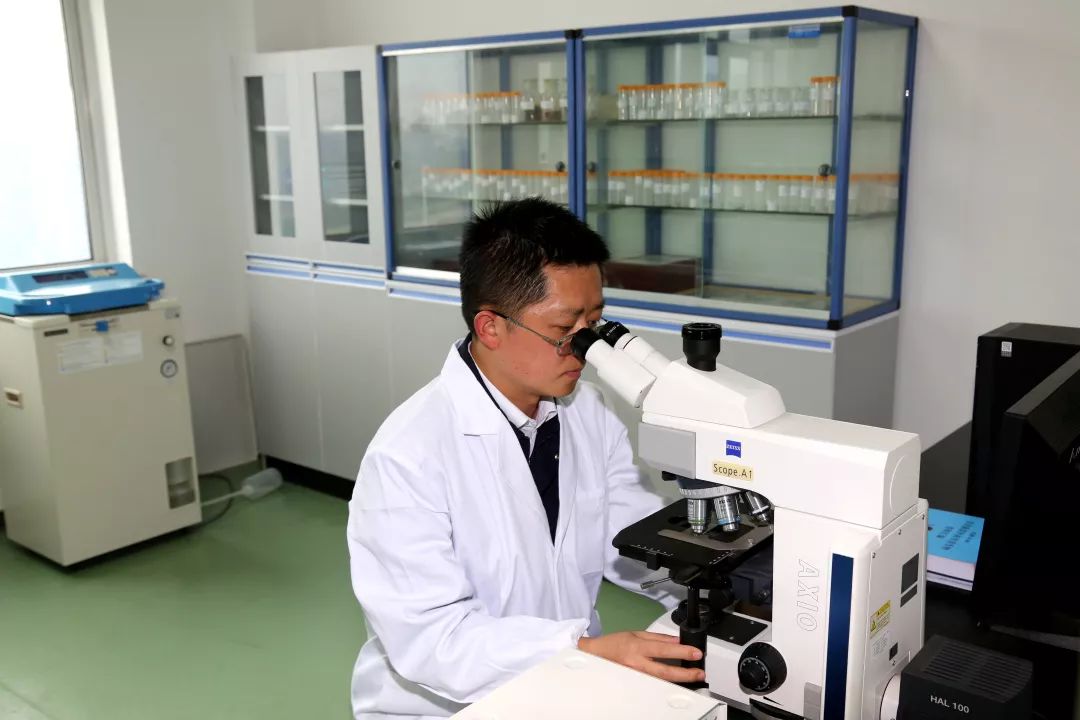 奇异博士的超能力