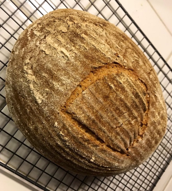 图4500年历史的酵母成功复活重现古埃及风味的面包