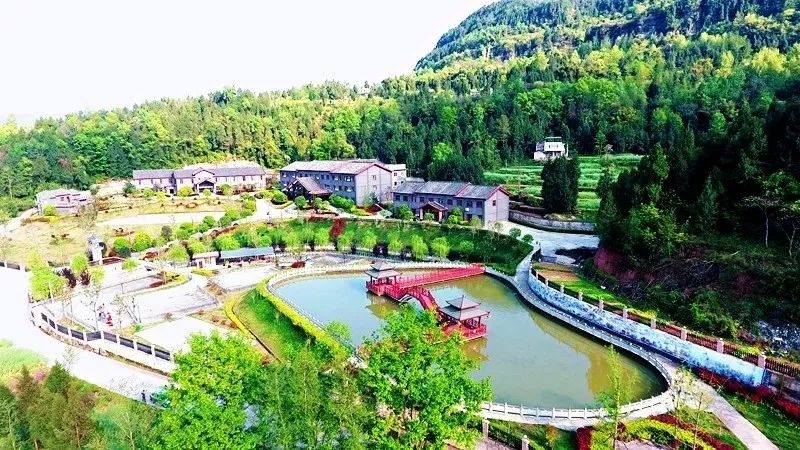 通江这个地方凭借"特色"登上省级榜单_广纳镇