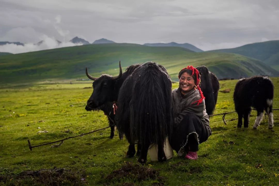 草原牧场(作者:夏轶欧)云雾宝顶山(作者:王强)马背上技艺(作者:达瓦)