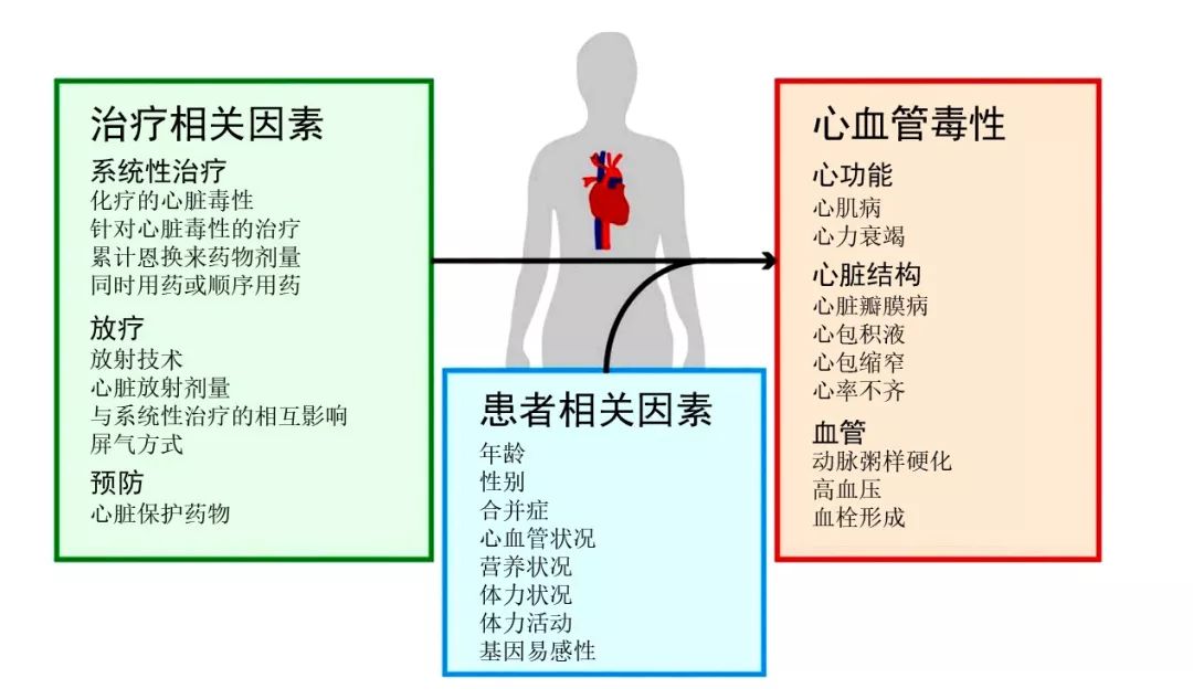 肿瘤患者全生命周期心脏功能的规范化管理