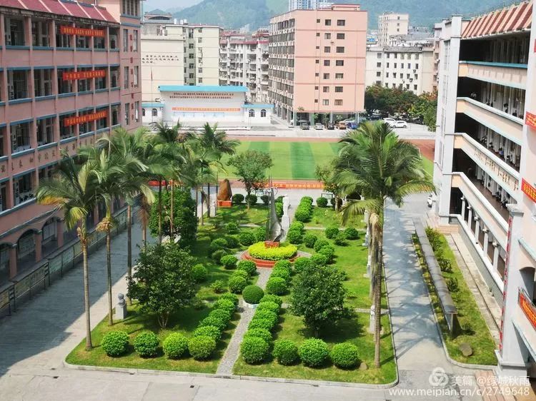 东兰一花一世界一叶一菩提话说兰高