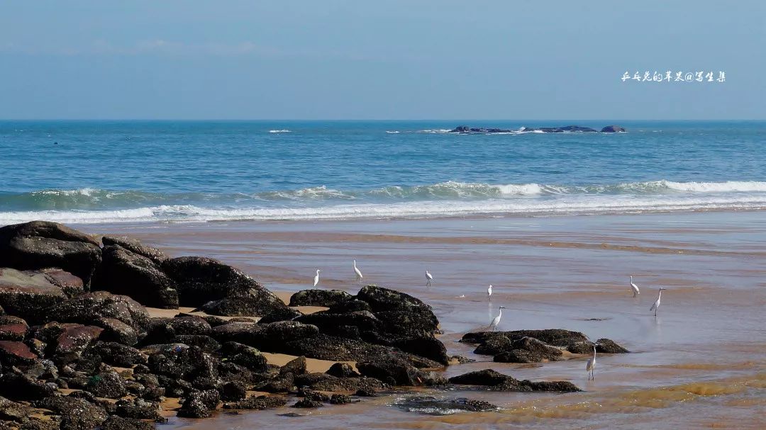 金井走透透金井这里的绝美海景来了就不想走