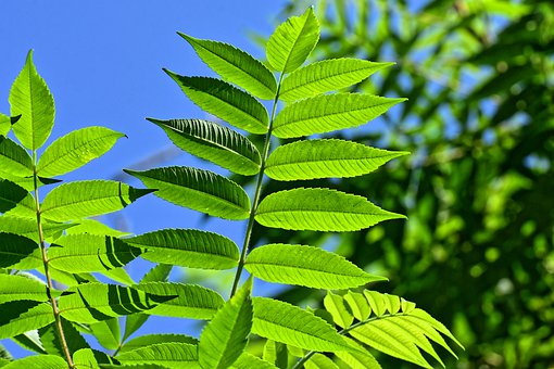 曾以为走不出的日子现在都回不去了