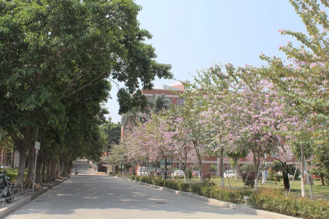 潮汕职业技术学院全景图的简单介绍