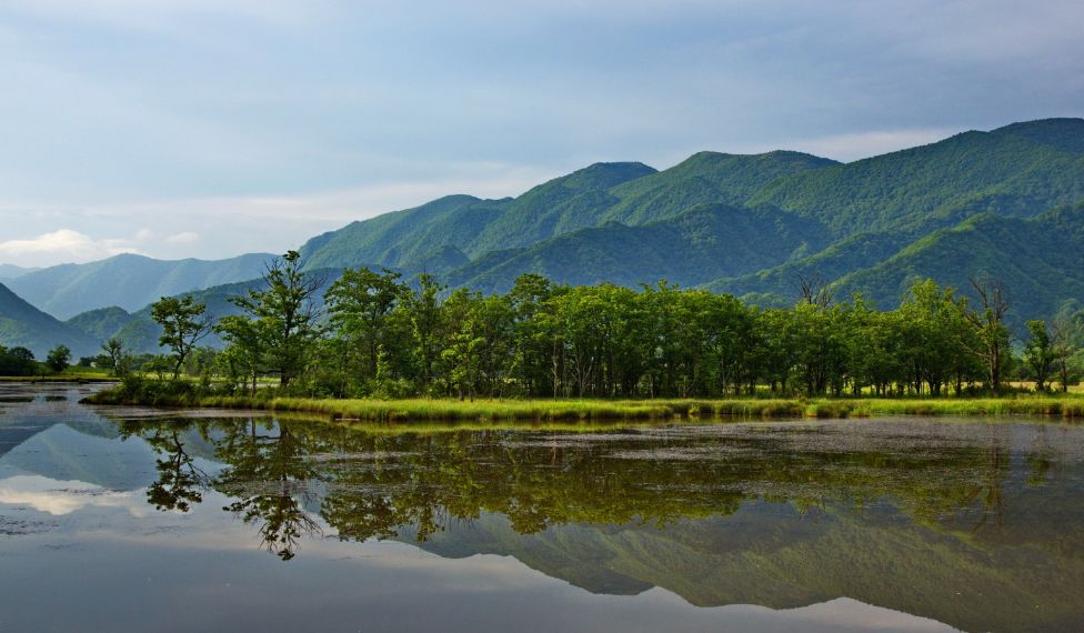 星推荐 | 荆楚大地,有你不知道的旷世之美
