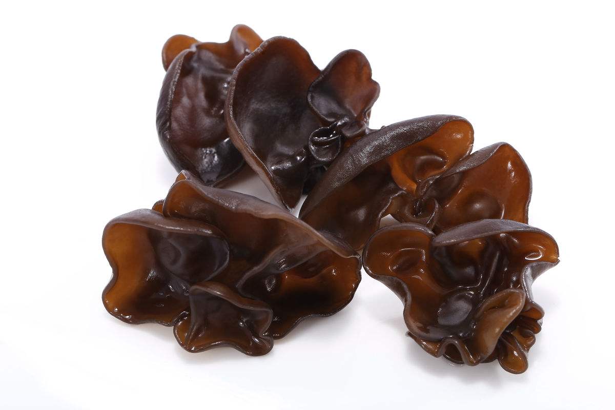 3,木耳木耳也是一种典型的碱性食物,性平而味甘,含脂肪,蛋白质,多糖.