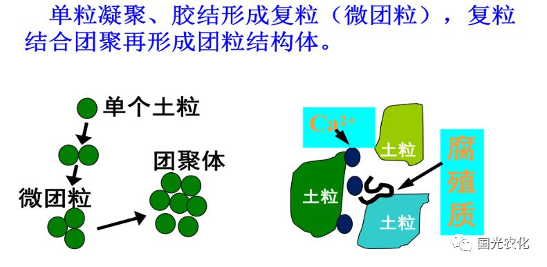 可促使土壤颗粒互相黏结形成稳定的团聚体,即促进土壤团粒结构的形成