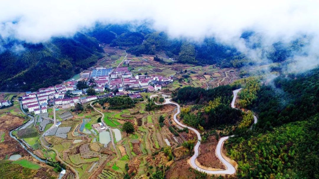 台风消息避暑胜地上张乡姚岸村