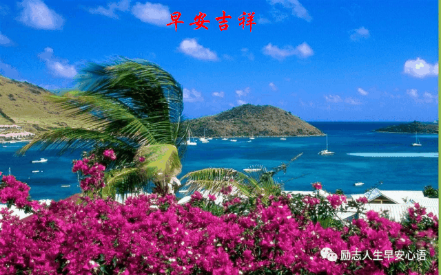 风景搁浅岁月,幸福就在您身边岁月匆匆太匆匆愿我的祝福长驻在您心中