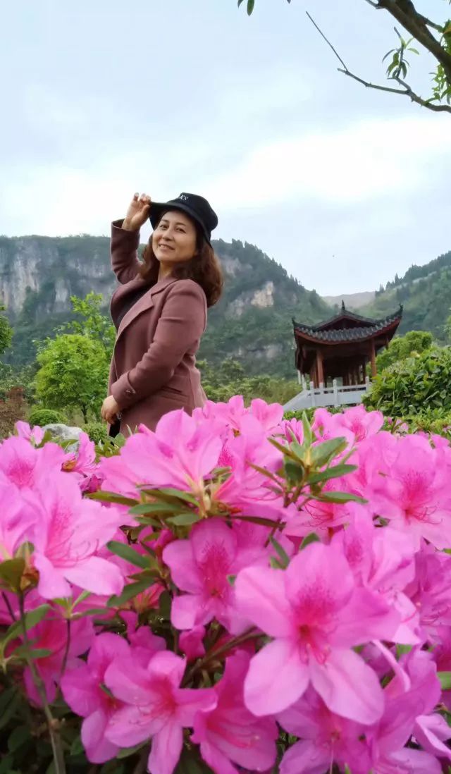 晓慧,唐晓伟,李雪梅贾胜平,陈琳,曾莉6四年级语文教学明星风采肖慧珍