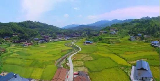 微洪江|洪江市这2个村将获得中央财政支持!
