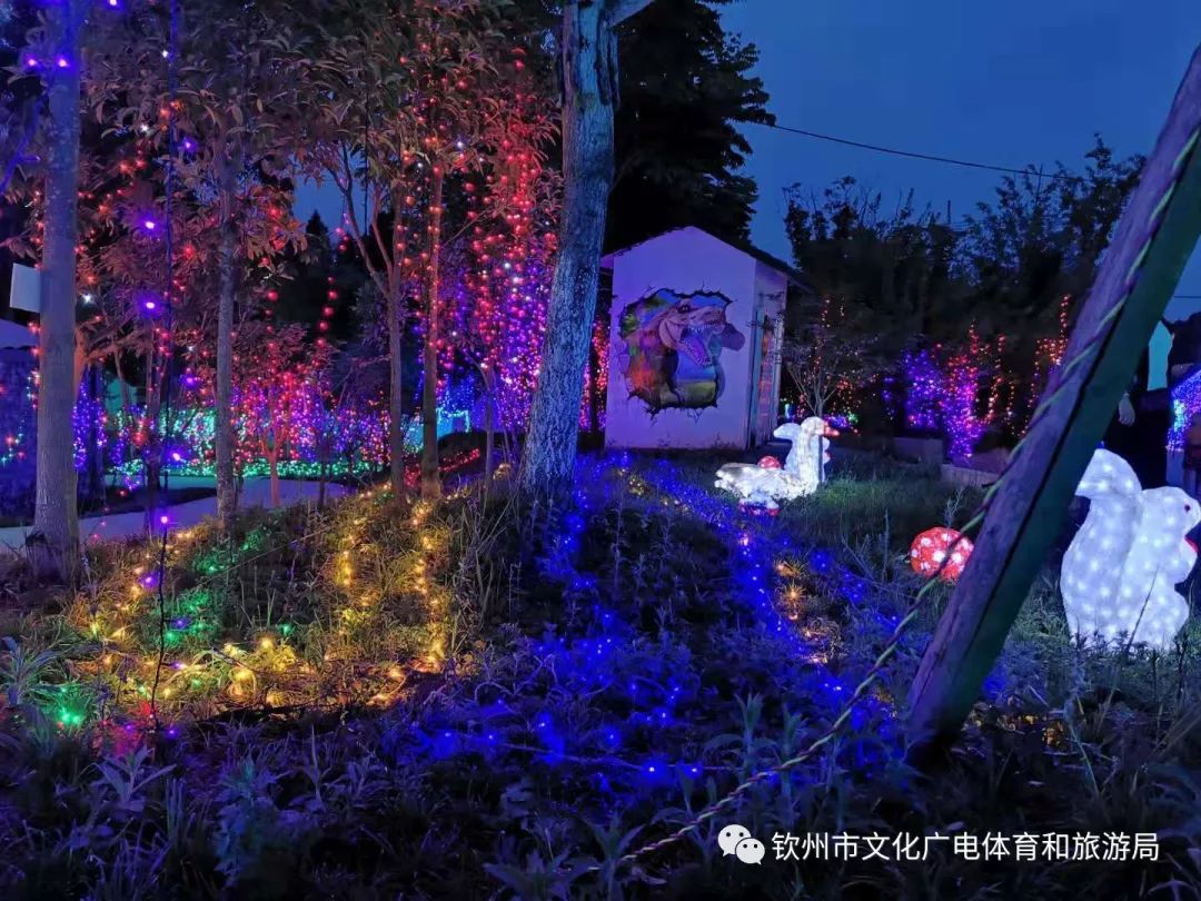 可免费领门票!林湖森林公园呼吸森林灯光节来啦