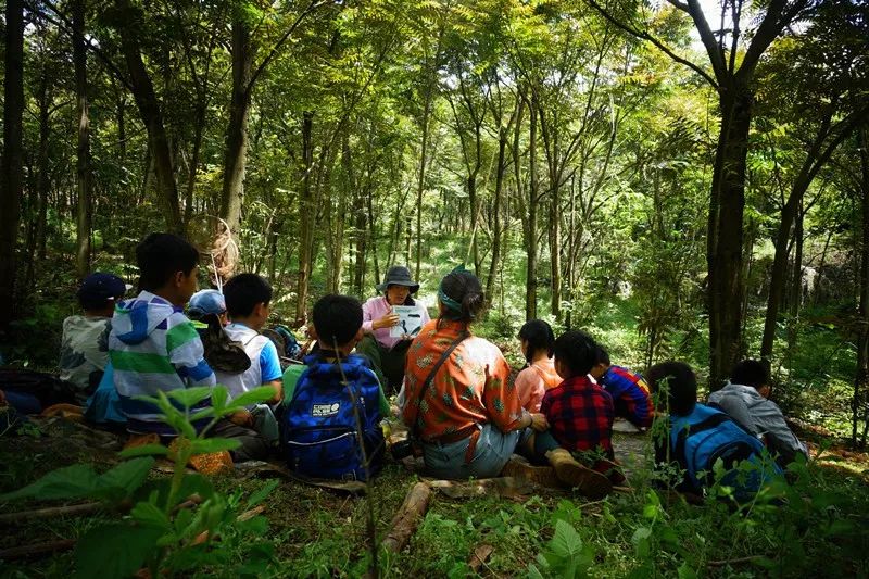 森林课堂穿过想象去探寻真实的森林世界