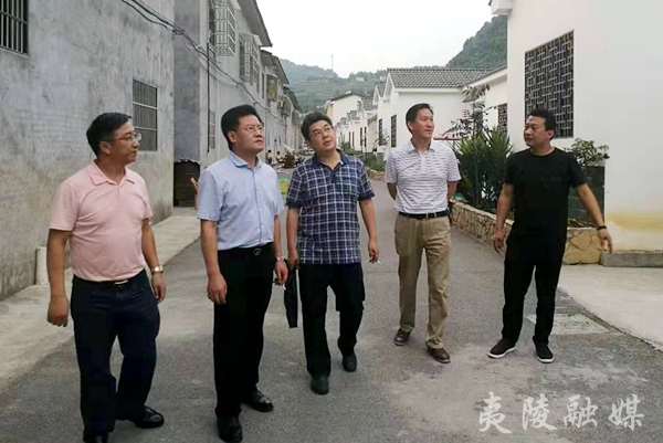 夷陵区政府副区长赵学军,孙玉林陪同调研.