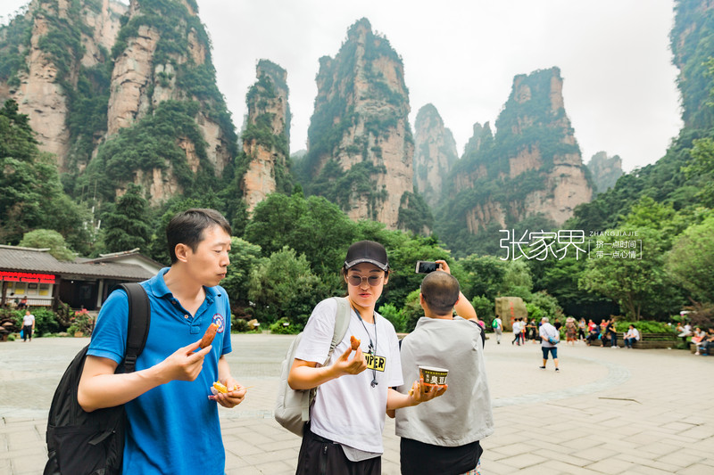 張家界私人導遊當地個人導遊怎麼找