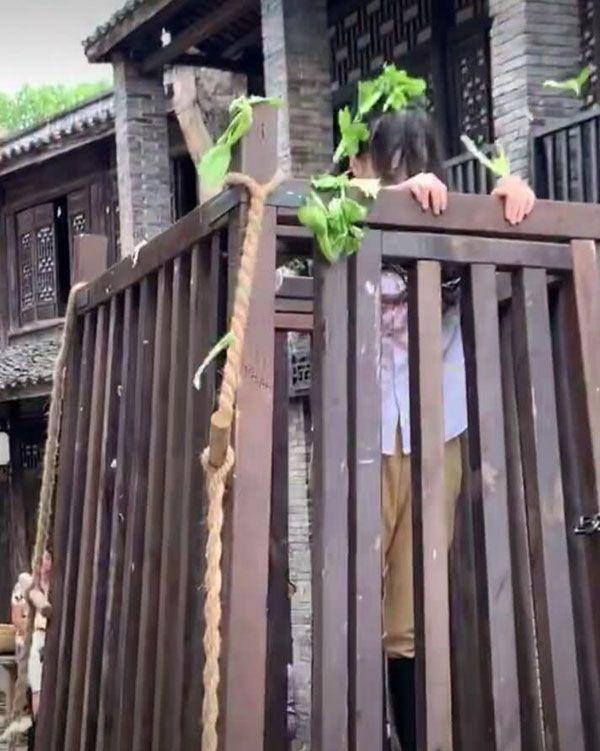 赵本山女儿演古装戏锁在囚车里被砸白菜笑称没事很敬业