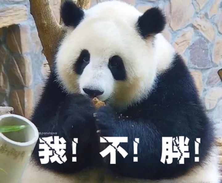 omg,这么吃能不胖吗!