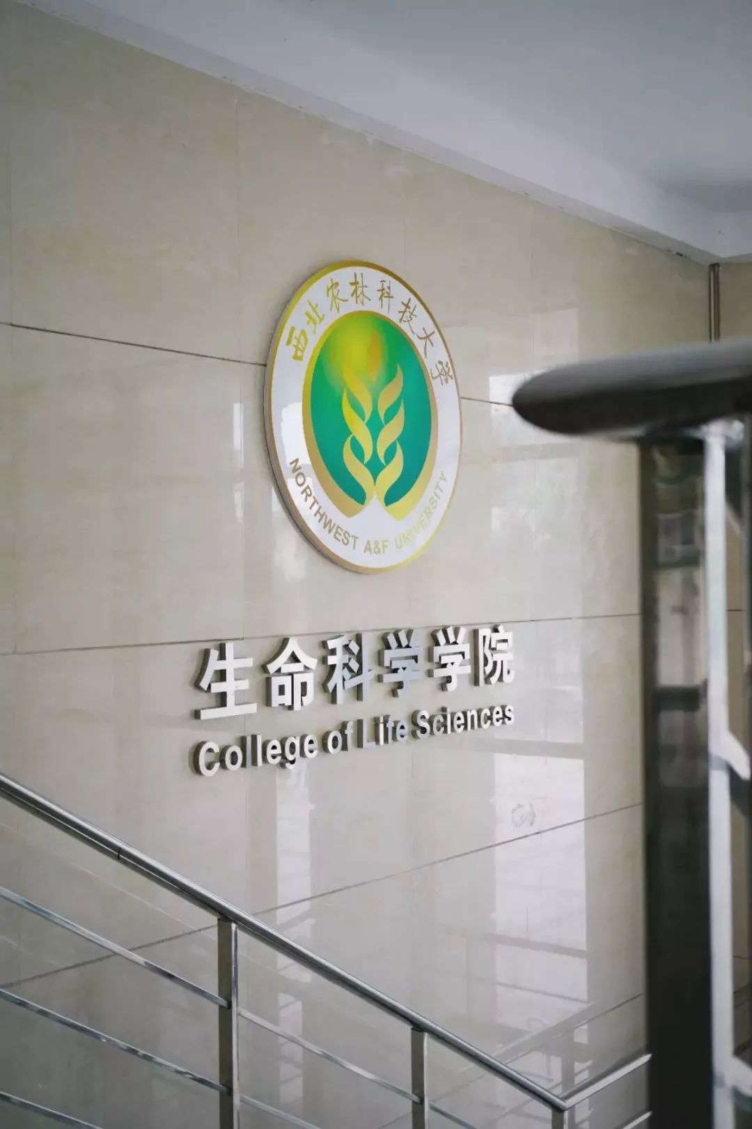 西农生命科学学院图片