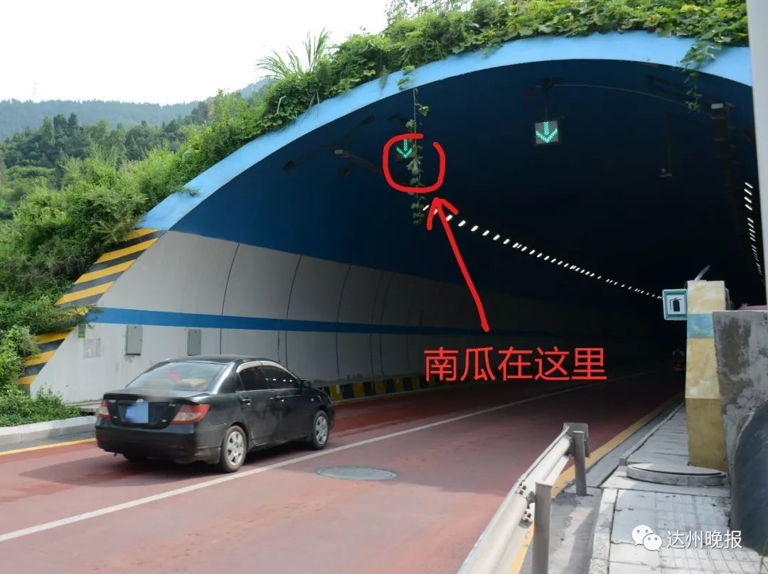 安康凤凰山隧道图片