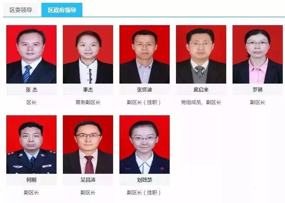 90后女博士任副市长!到底是啥来头?_袁琳