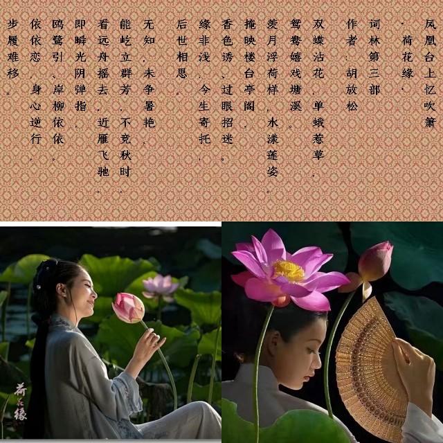 凤凰台上忆吹箫·荷花缘