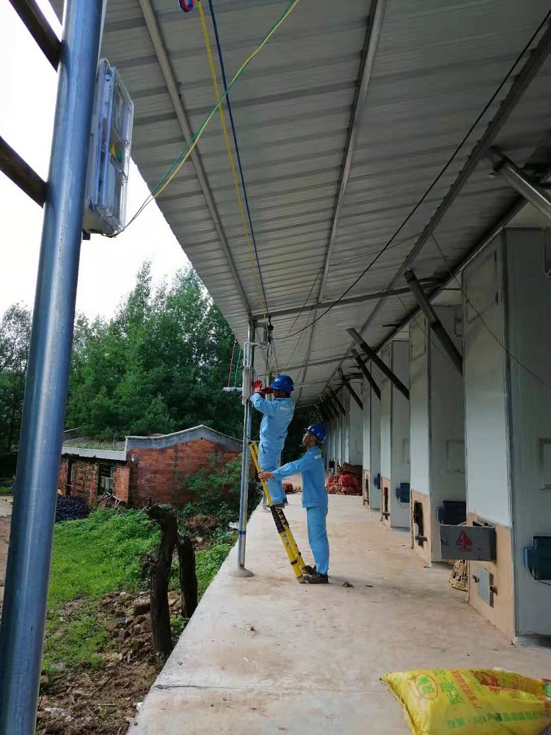 當烤煙遇上電力 ——記南方電網雲南曲靖馬龍供電局悉心服務烤煙生產