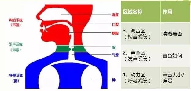构音障碍的康复训练技巧