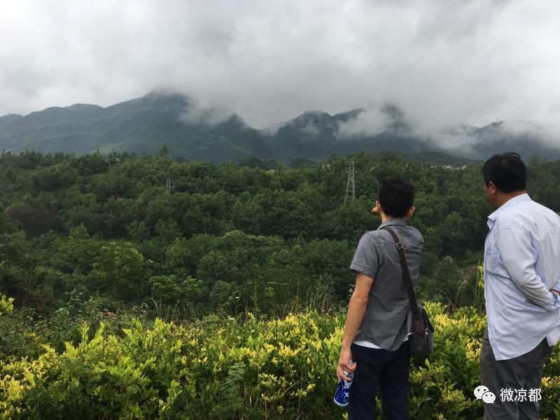 周光宇黑社会性质组织的分崩瓦解_钟山区