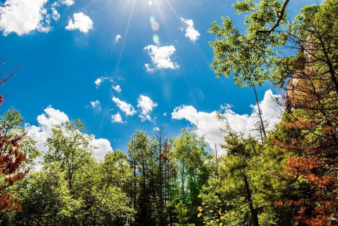 "最美云端小站"等你去打卡 兰铁集团推出"东岔高铁周末游"