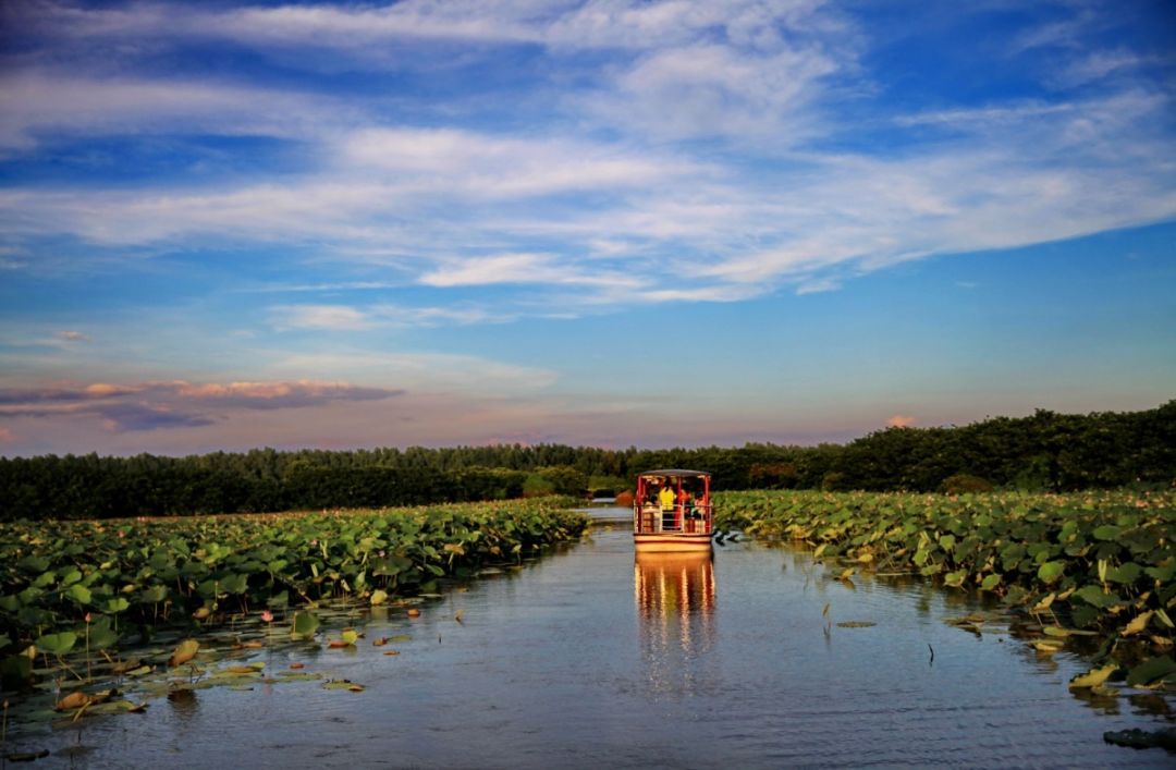 投票| 2019万顷沙镇"藕遇水乡"丰收嘉年华——"万顷沙六景"评选
