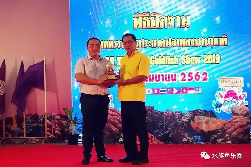 2019年4月,潘登磊在2019泰国公主杯金鱼大赛领奖水墨花金鱼,或憨厚