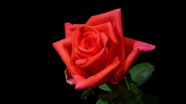 人生大总结(疯转)