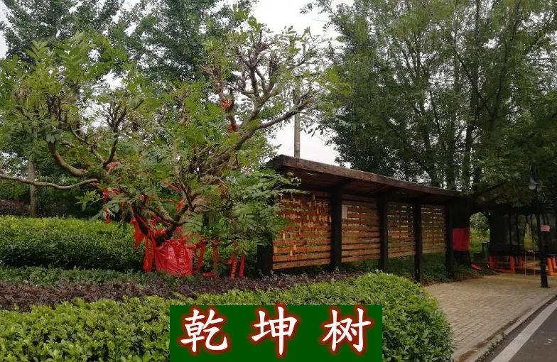 箐箐庄园最美乡村体验游