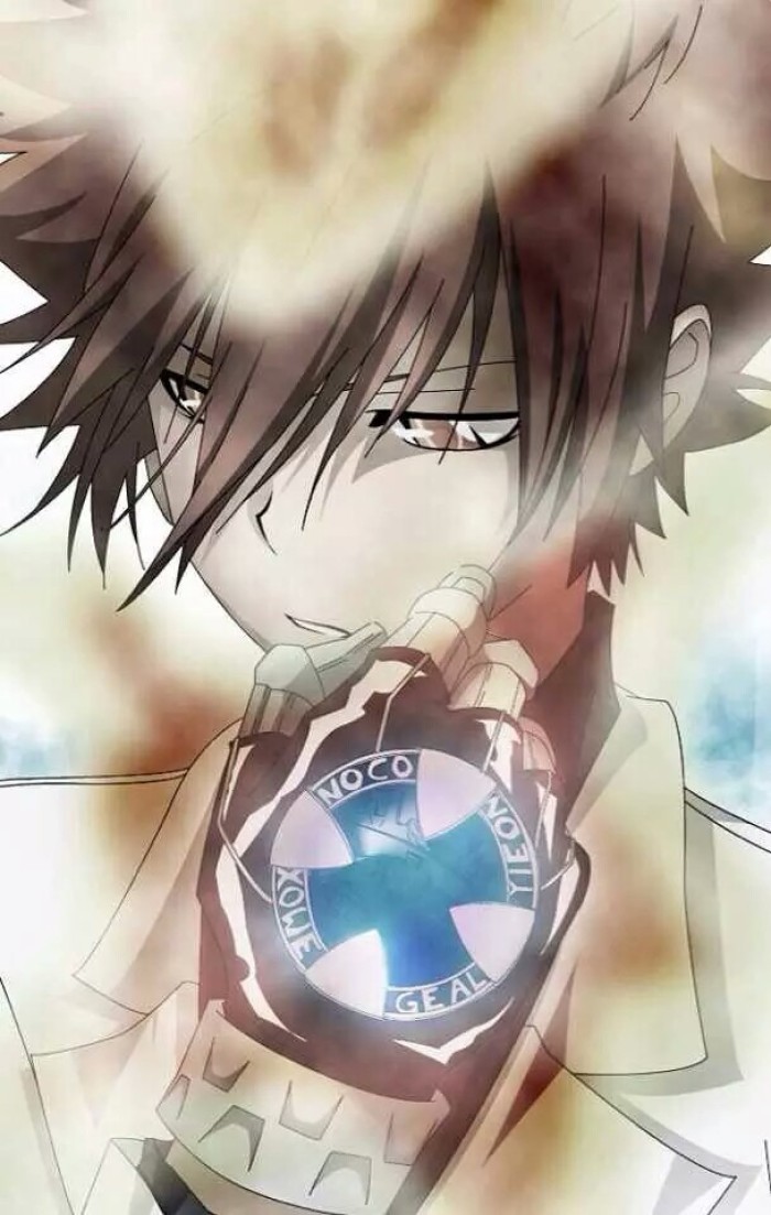 此生无悔入家教,那个大空属性的十代目,值得我们永远铭记