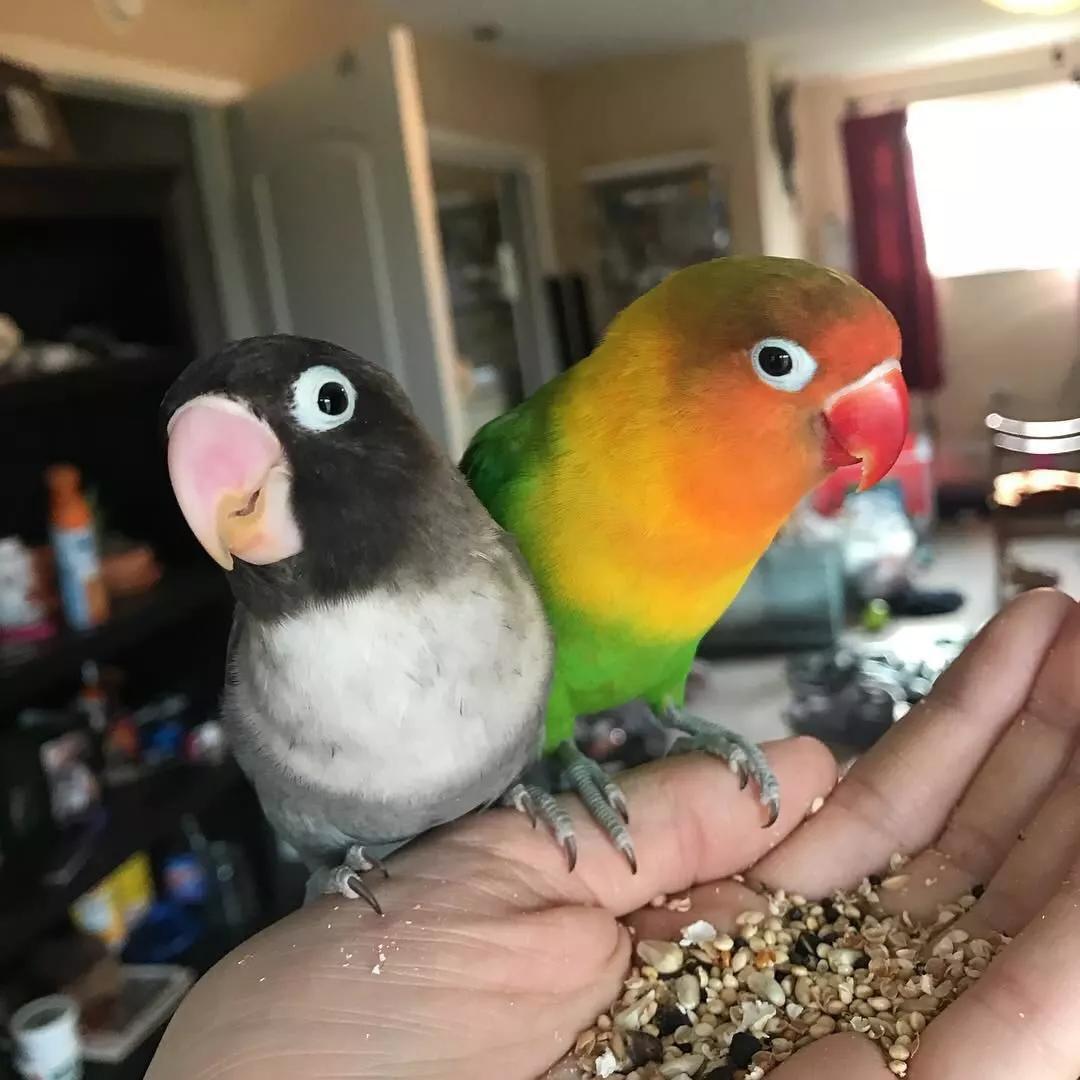 从来没有高冷的人,只是人家暖的不是你_kiwi